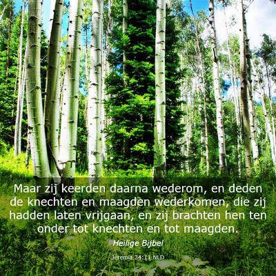 Picture 03 - Jeremia 34:11 NLD - Maar zij keerden daarna wederom, en deden de - Bible Verse Picture