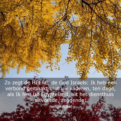 Picture 03 - Jeremia 34:13 NLD - Zo zegt de HEERE, de God Israels: Ik heb een - Bible Verse Picture
