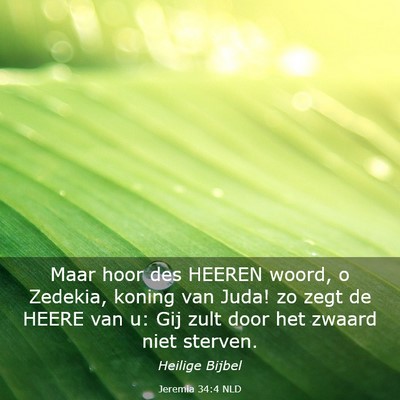 Picture 03 - Jeremia 34:4 NLD - Maar hoor des HEEREN woord, o Zedekia, koning van - Bible Verse Picture