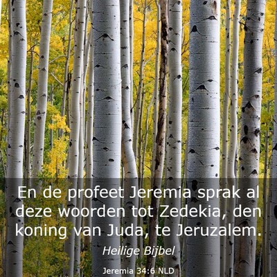 Picture 03 - Jeremia 34:6 NLD - En de profeet Jeremia sprak al deze woorden tot - Bible Verse Picture