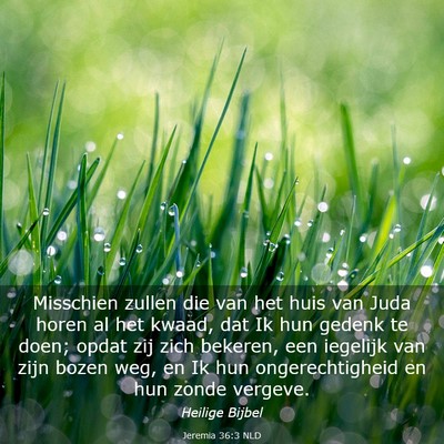 Picture 03 - Jeremia 36:3 NLD - Misschien zullen die van het huis van Juda horen - Bible Verse Picture