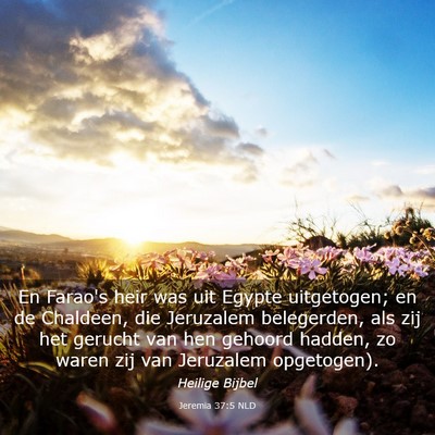 Picture 03 - Jeremia 37:5 NLD - En Farao's heir was uit Egypte uitgetogen; en de - Bible Verse Picture