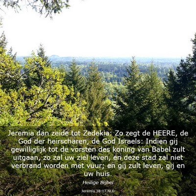 Picture 03 - Jeremia 38:17 NLD - Jeremia dan zeide tot Zedekia: Zo zegt de HEERE, - Bible Verse Picture