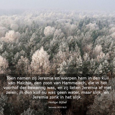 Picture 03 - Jeremia 38:6 NLD - Toen namen zij Jeremia en wierpen hem in den kuil - Bible Verse Picture