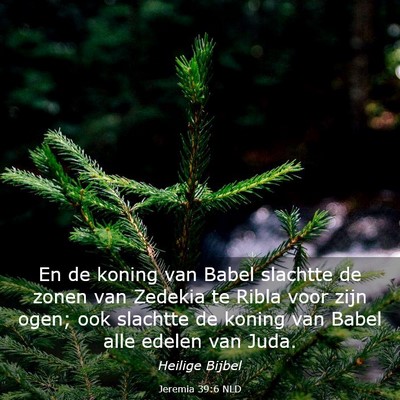 Picture 03 - Jeremia 39:6 NLD - En de koning van Babel slachtte de zonen van - Bible Verse Picture