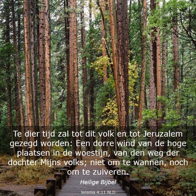 Picture 03 - Jeremia 4:11 NLD - Te dier tijd zal tot dit volk en tot Jeruzalem - Bible Verse Picture