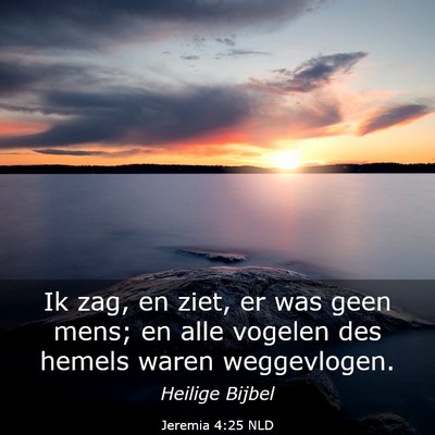 Picture 03 - Jeremia 4:25 NLD - Ik zag, en ziet, er was geen mens; en alle - Bible Verse Picture
