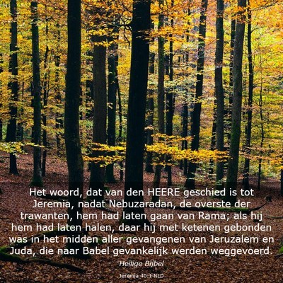 Picture 03 - Jeremia 40:1 NLD - Het woord, dat van den HEERE geschied is tot - Bible Verse Picture