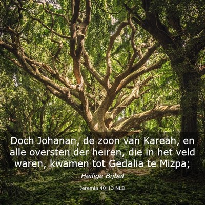 Picture 03 - Jeremia 40:13 NLD - Doch Johanan, de zoon van Kareah, en alle - Bible Verse Picture