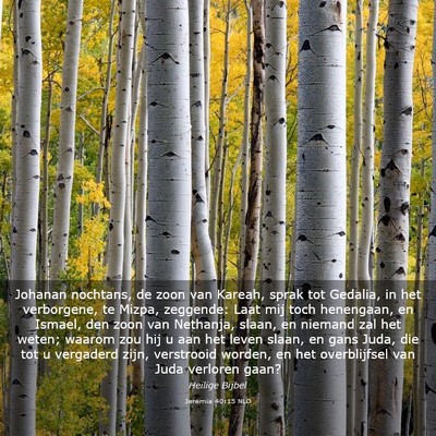 Picture 03 - Jeremia 40:15 NLD - Johanan nochtans, de zoon van Kareah, sprak tot - Bible Verse Picture