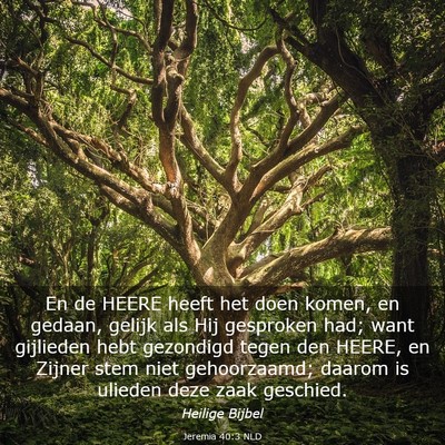 Picture 03 - Jeremia 40:3 NLD - En de HEERE heeft het doen komen, en gedaan, - Bible Verse Picture