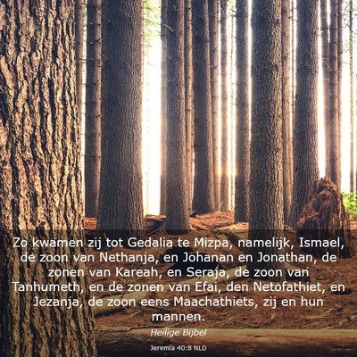 Picture 03 - Jeremia 40:8 NLD - Zo kwamen zij tot Gedalia te Mizpa, namelijk, - Bible Verse Picture