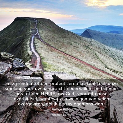 Picture 03 - Jeremia 42:2 NLD - En zij zeiden tot den profeet Jeremia: Laat toch - Bible Verse Picture