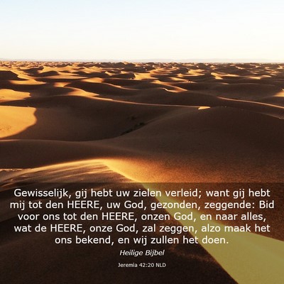 Picture 03 - Jeremia 42:20 NLD - Gewisselijk, gij hebt uw zielen verleid; want gij - Bible Verse Picture