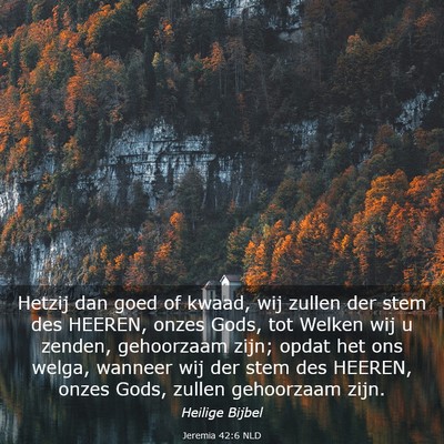 Picture 03 - Jeremia 42:6 NLD - Hetzij dan goed of kwaad, wij zullen der stem des - Bible Verse Picture