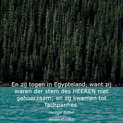 Picture 03 - Jeremia 43:7 NLD - En zij togen in Egypteland, want zij waren der - Bible Verse Picture