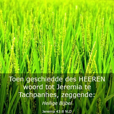 Picture 03 - Jeremia 43:8 NLD - Toen geschiedde des HEEREN woord tot Jeremia te - Bible Verse Picture