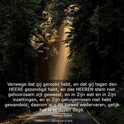 Picture 03 - Jeremia 44:23 NLD - Vanwege dat gij gerookt hebt, en dat gij tegen - Bible Verse Picture