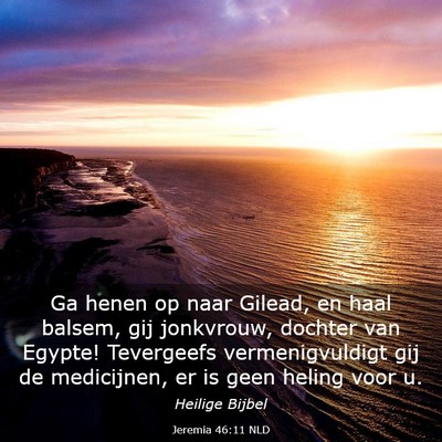 Picture 03 - Jeremia 46:11 NLD - Ga henen op naar Gilead, en haal balsem, gij - Bible Verse Picture