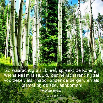 Picture 03 - Jeremia 46:18 NLD - Zo waarachtig als Ik leef, spreekt de Koning, - Bible Verse Picture