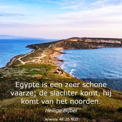 Picture 03 - Jeremia 46:20 NLD - Egypte is een zeer schone vaarze; de slachter - Bible Verse Picture