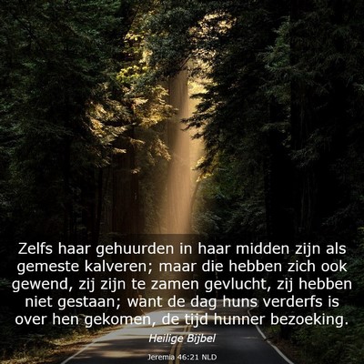 Picture 03 - Jeremia 46:21 NLD - Zelfs haar gehuurden in haar midden zijn als - Bible Verse Picture