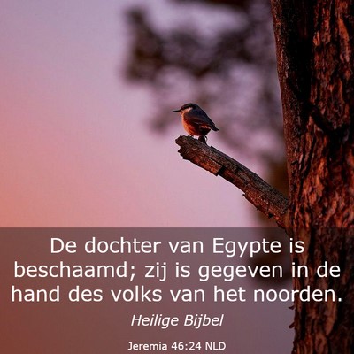 Picture 03 - Jeremia 46:24 NLD - De dochter van Egypte is beschaamd; zij is - Bible Verse Picture