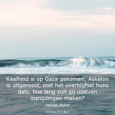 Picture 03 - Jeremia 47:5 NLD - Kaalheid is op Gaza gekomen; Askelon is - Bible Verse Picture