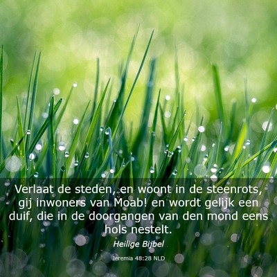 Picture 03 - Jeremia 48:28 NLD - Verlaat de steden, en woont in de steenrots, gij - Bible Verse Picture