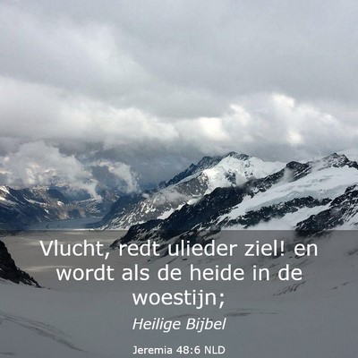 Picture 03 - Jeremia 48:6 NLD - Vlucht, redt ulieder ziel! en wordt als de heide - Bible Verse Picture