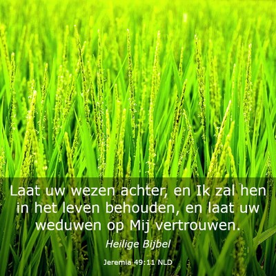 Picture 03 - Jeremia 49:11 NLD - Laat uw wezen achter, en Ik zal hen in het leven - Bible Verse Picture