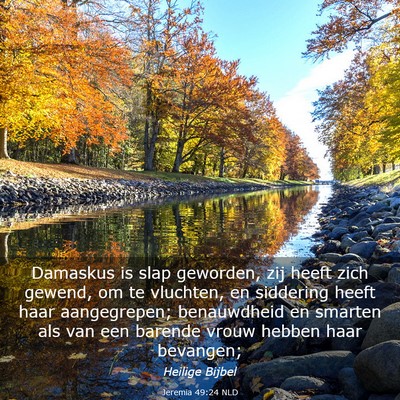 Picture 03 - Jeremia 49:24 NLD - Damaskus is slap geworden, zij heeft zich gewend, - Bible Verse Picture
