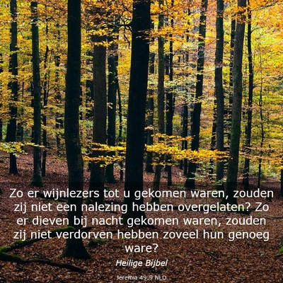 Picture 03 - Jeremia 49:9 NLD - Zo er wijnlezers tot u gekomen waren, zouden zij - Bible Verse Picture
