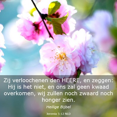 Picture 03 - Jeremia 5:12 NLD - Zij verloochenen den HEERE, en zeggen: Hij is het - Bible Verse Picture
