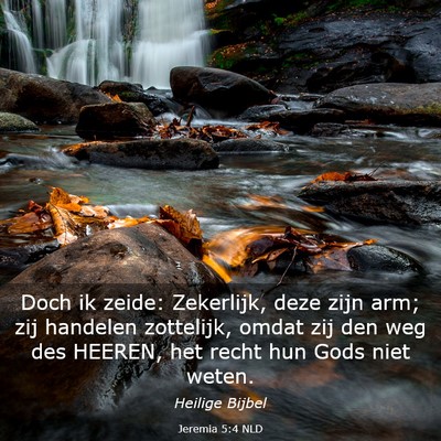 Picture 03 - Jeremia 5:4 NLD - Doch ik zeide: Zekerlijk, deze zijn arm; zij - Bible Verse Picture