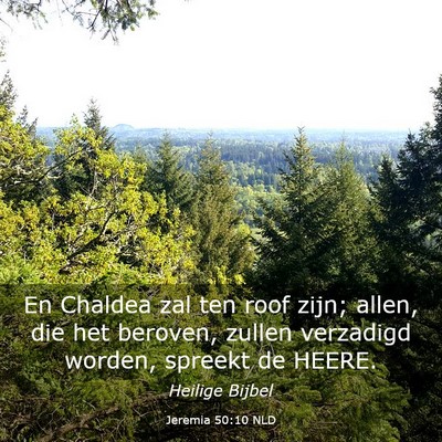 Picture 03 - Jeremia 50:10 NLD - En Chaldea zal ten roof zijn; allen, die het - Bible Verse Picture