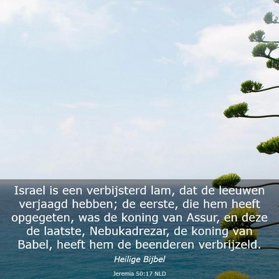 Picture 03 - Jeremia 50:17 NLD - Israel is een verbijsterd lam, dat de leeuwen - Bible Verse Picture