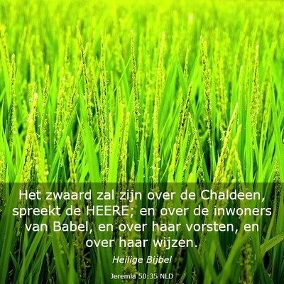 Picture 03 - Jeremia 50:35 NLD - Het zwaard zal zijn over de Chaldeen, spreekt de - Bible Verse Picture