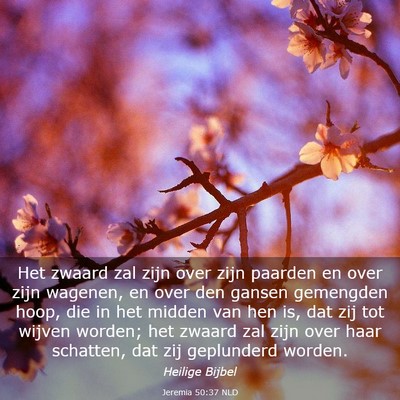 Picture 03 - Jeremia 50:37 NLD - Het zwaard zal zijn over zijn paarden en over - Bible Verse Picture