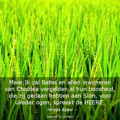 Picture 03 - Jeremia 51:24 NLD - Maar Ik zal Babel en allen inwoneren van Chaldea - Bible Verse Picture