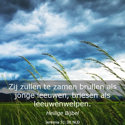 Picture 03 - Jeremia 51:38 NLD - Zij zullen te zamen brullen als jonge leeuwen, - Bible Verse Picture