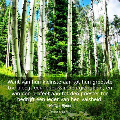 Picture 03 - Jeremia 6:13 NLD - Want van hun kleinste aan tot hun grootste toe - Bible Verse Picture