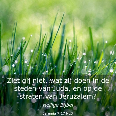 Picture 03 - Jeremia 7:17 NLD - Ziet gij niet, wat zij doen in de steden van - Bible Verse Picture