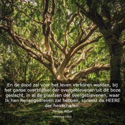Picture 03 - Jeremia 8:3 NLD - En de dood zal voor het leven verkoren worden, - Bible Verse Picture