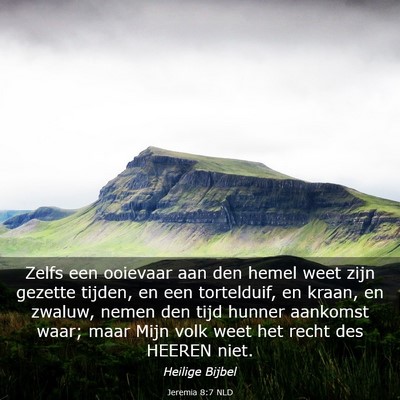 Picture 03 - Jeremia 8:7 NLD - Zelfs een ooievaar aan den hemel weet zijn - Bible Verse Picture