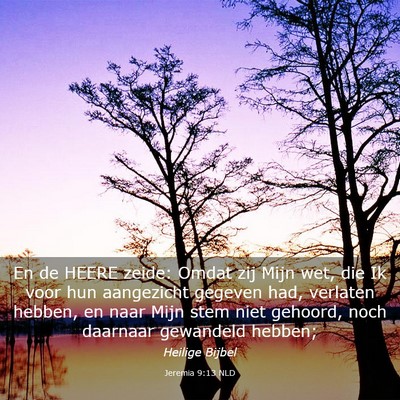 Picture 03 - Jeremia 9:13 NLD - En de HEERE zeide: Omdat zij Mijn wet, die Ik - Bible Verse Picture