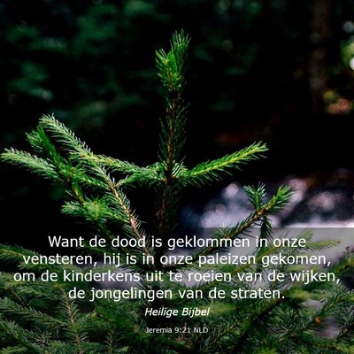 Picture 03 - Jeremia 9:21 NLD - Want de dood is geklommen in onze vensteren, hij - Bible Verse Picture