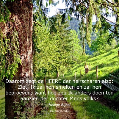 Picture 03 - Jeremia 9:7 NLD - Daarom zegt de HEERE der heirscharen alzo: Ziet, - Bible Verse Picture