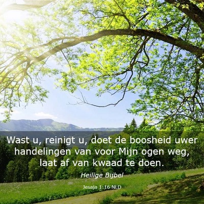 Picture 03 - Jesaja 1:16 NLD - Wast u, reinigt u, doet de boosheid uwer - Bible Verse Picture