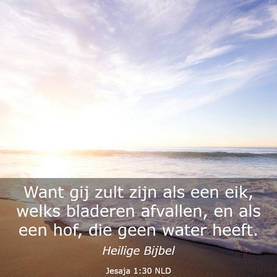 Picture 03 - Jesaja 1:30 NLD - Want gij zult zijn als een eik, welks bladeren - Bible Verse Picture